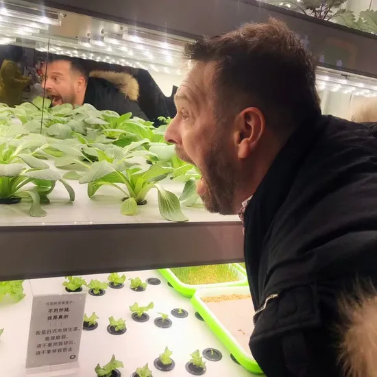 Sistema hidropónico agrícola Hogar inteligente Sistema hidropónico interior de cultivo vertical para lechuga