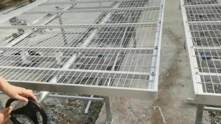 Equipos de riego e hidroponía Dwc para invernaderos